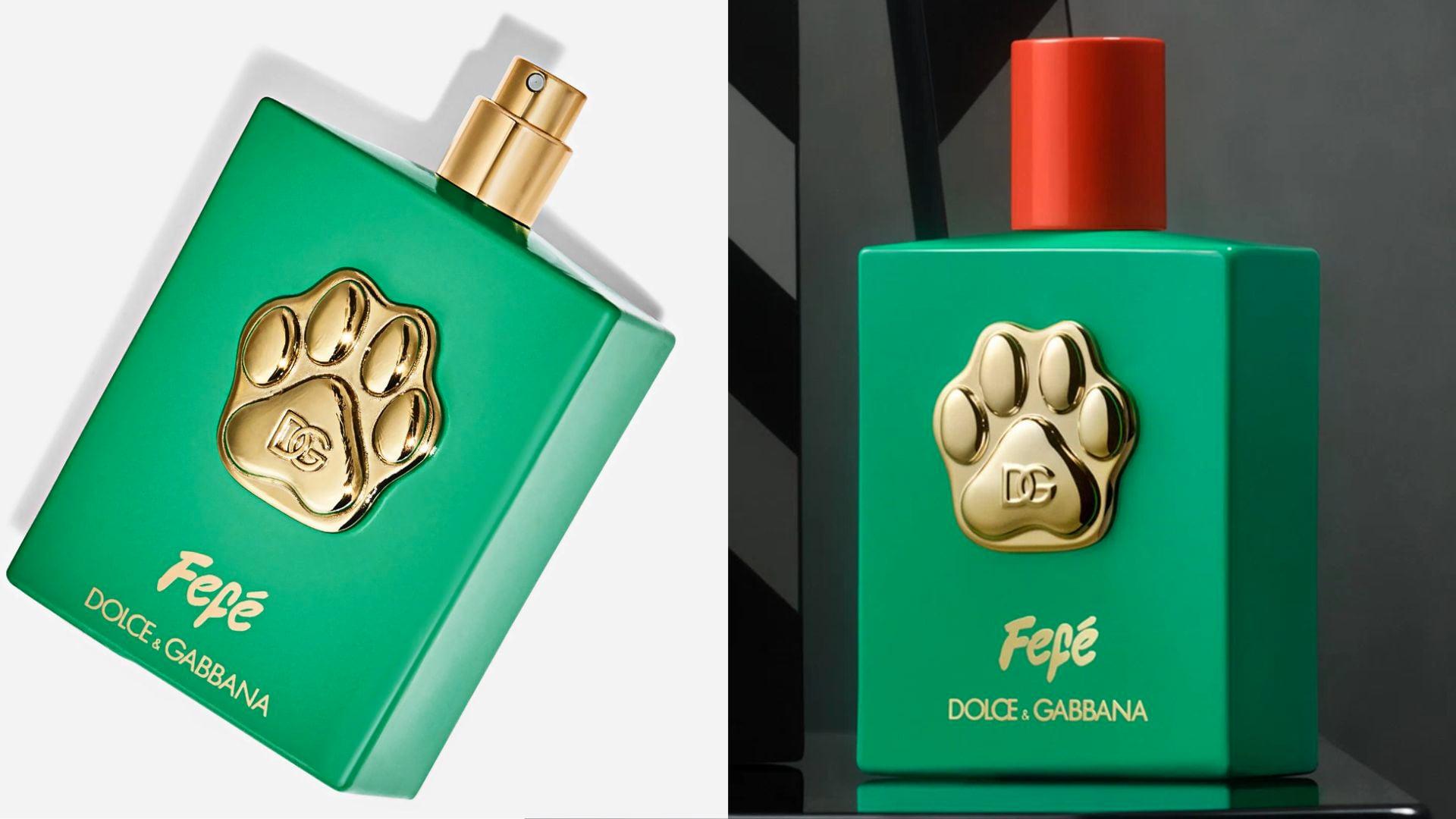Dolce & Gabbana Is Selling A Gold-Plated $108 Perfume For Dogs